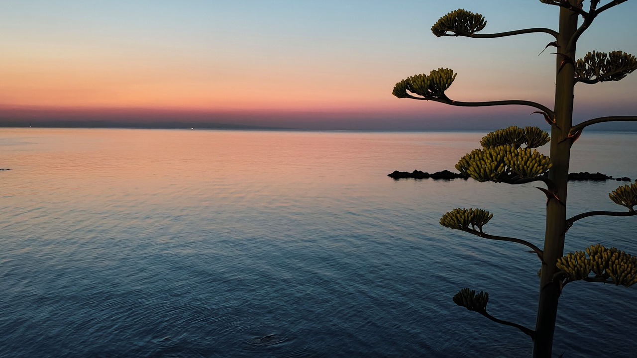 Photo of Others in Bisceglie