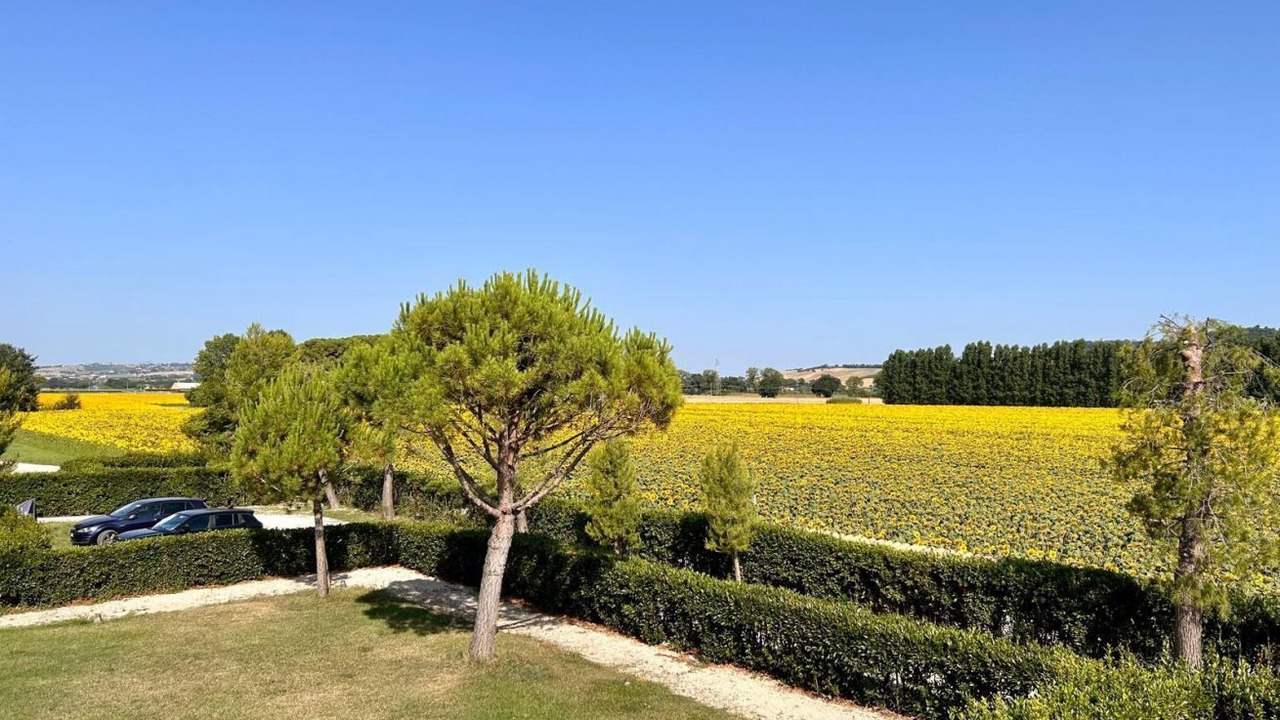 Photo of Outdoor in Porto Recanati