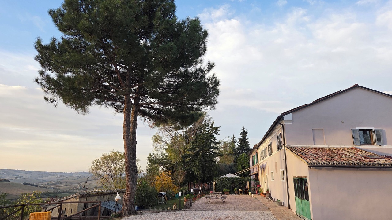 Photo of Others in Agugliano