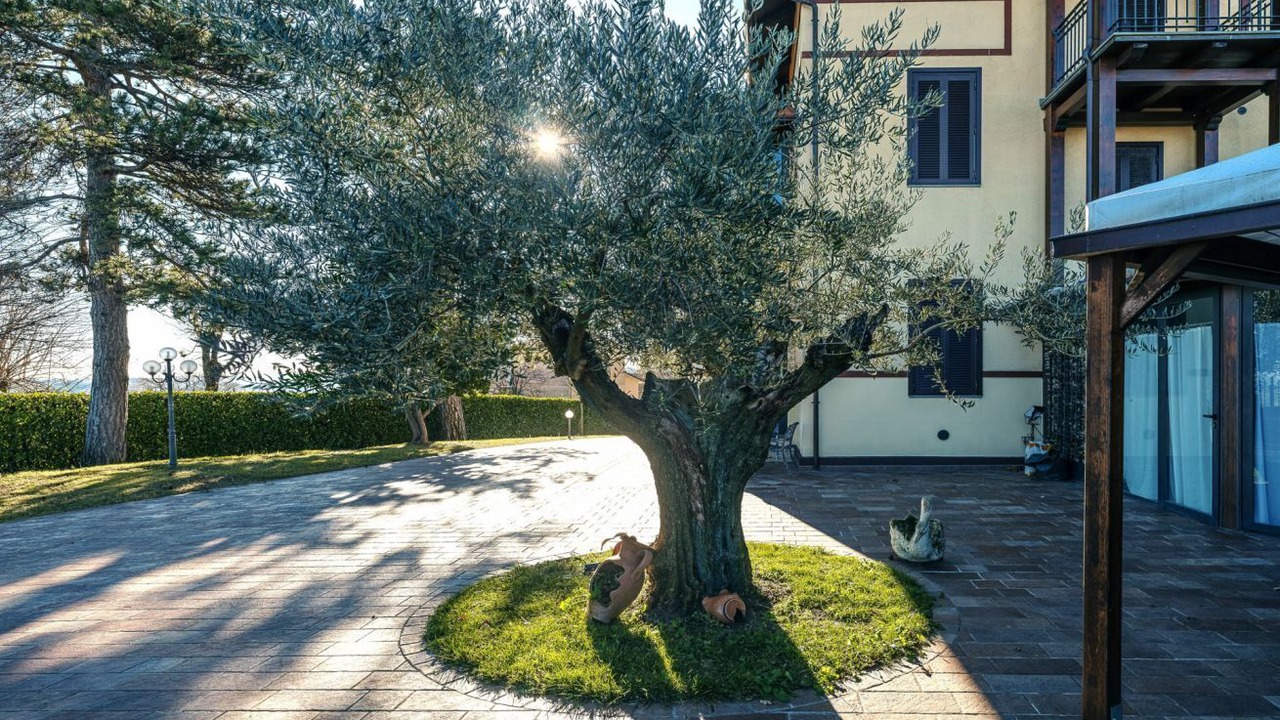 Photo of Outdoor in Tolentino