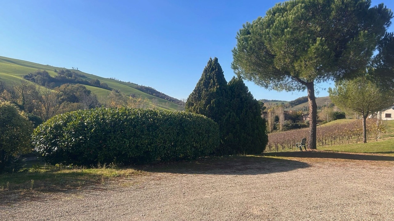 Photo of Outdoor in Dozza
