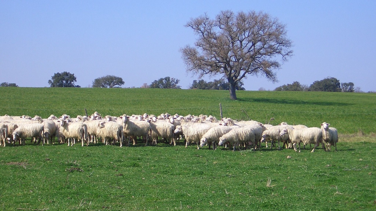 Photo of Others in Viterbo
