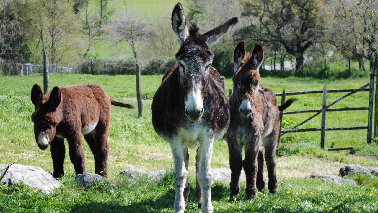 Photo of Others in Viterbo