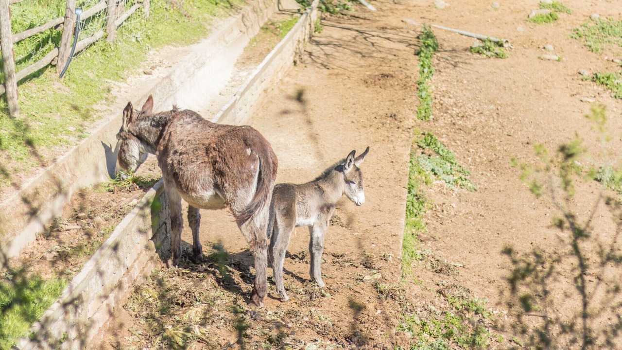 Photo of Others in Viterbo