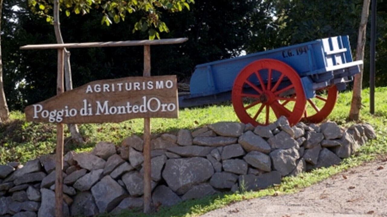 Photo of Others in Montefiascone