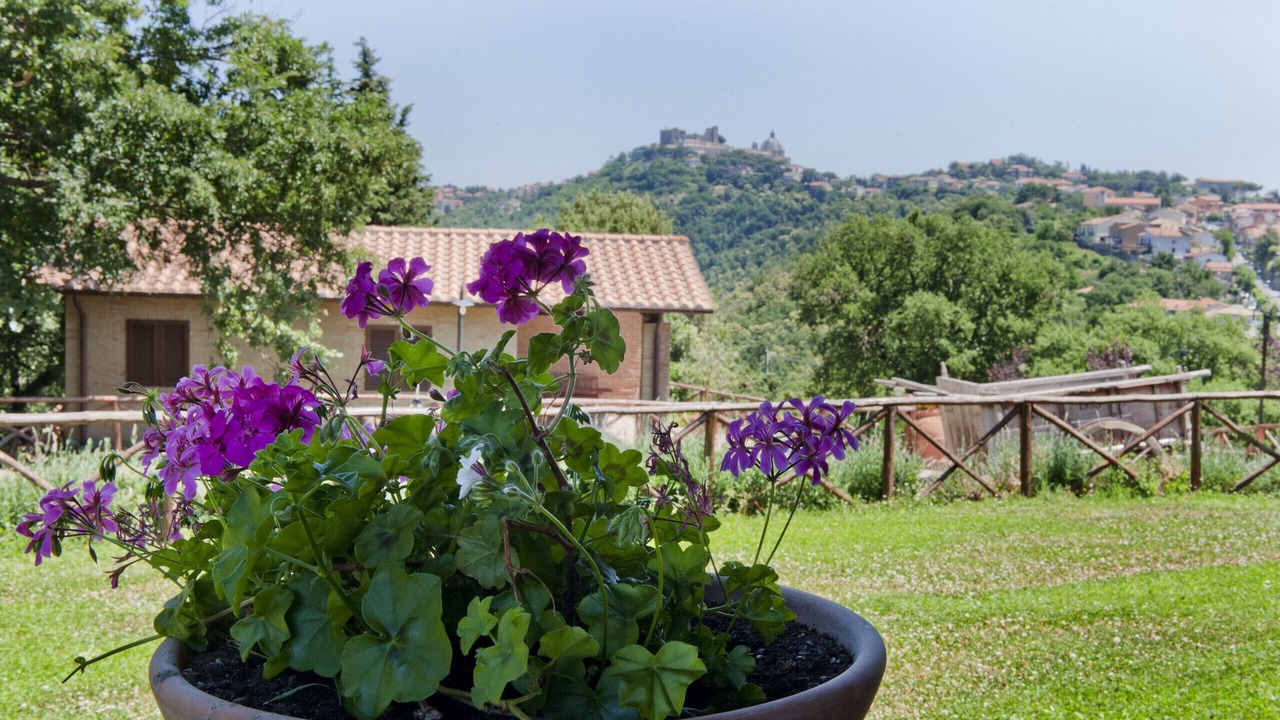 Photo of Outdoor in Montefiascone