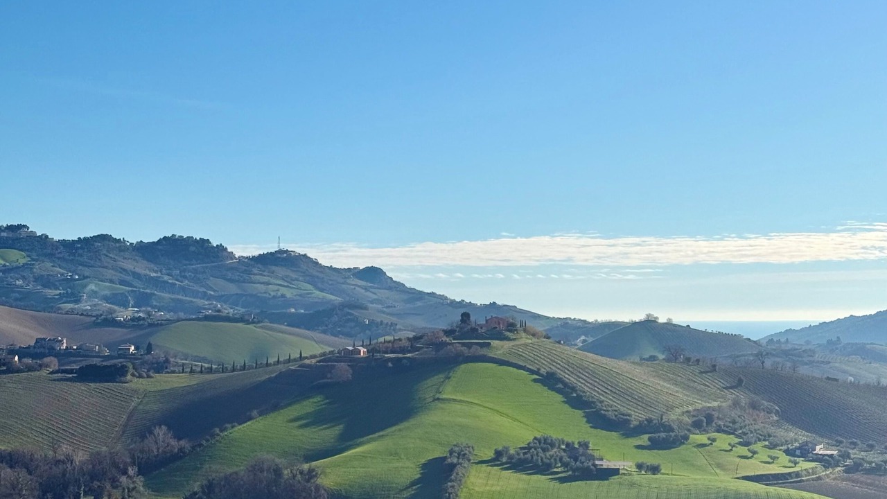 Photo of Others in Cossignano