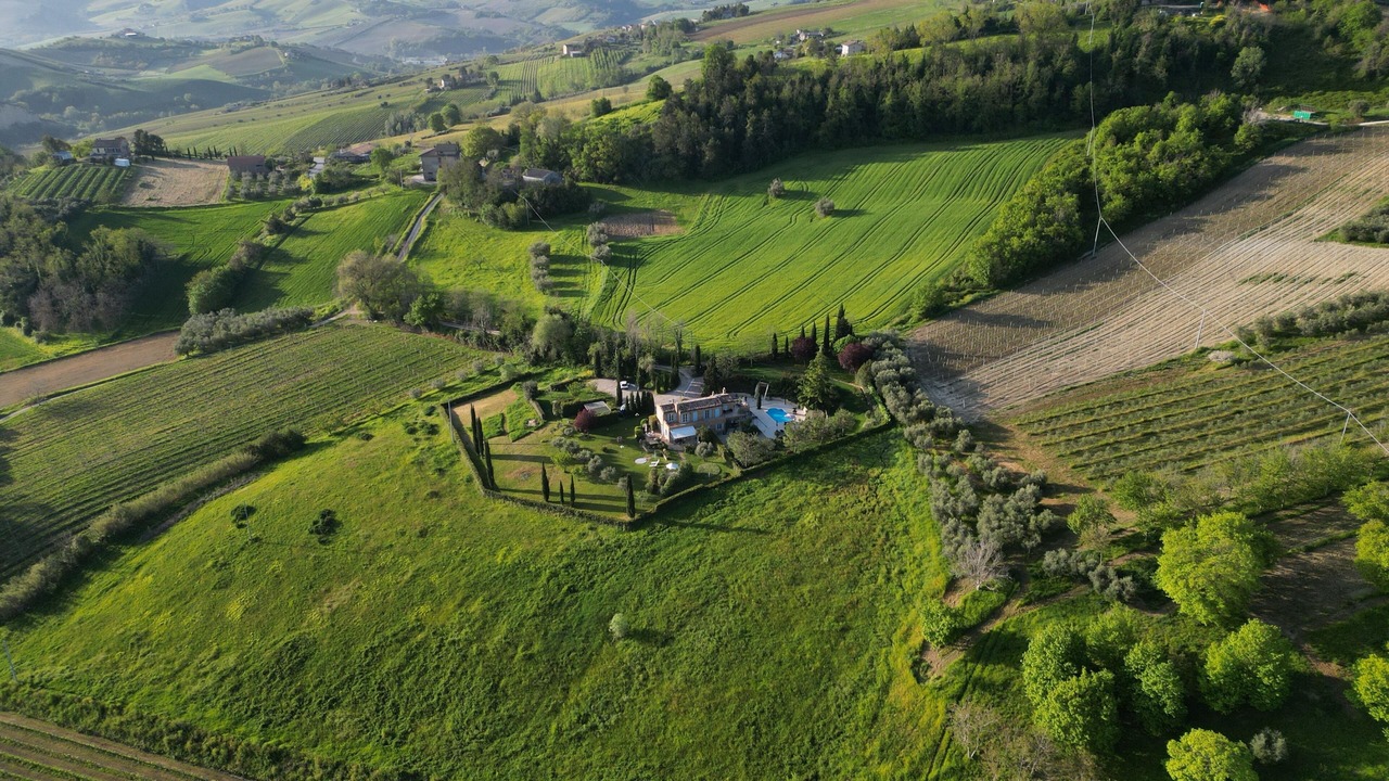 Photo of Outdoor in Cossignano