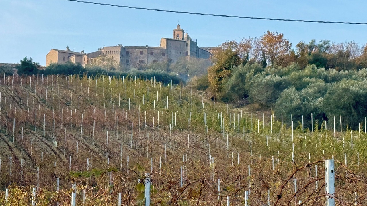 Photo of Others in Cossignano