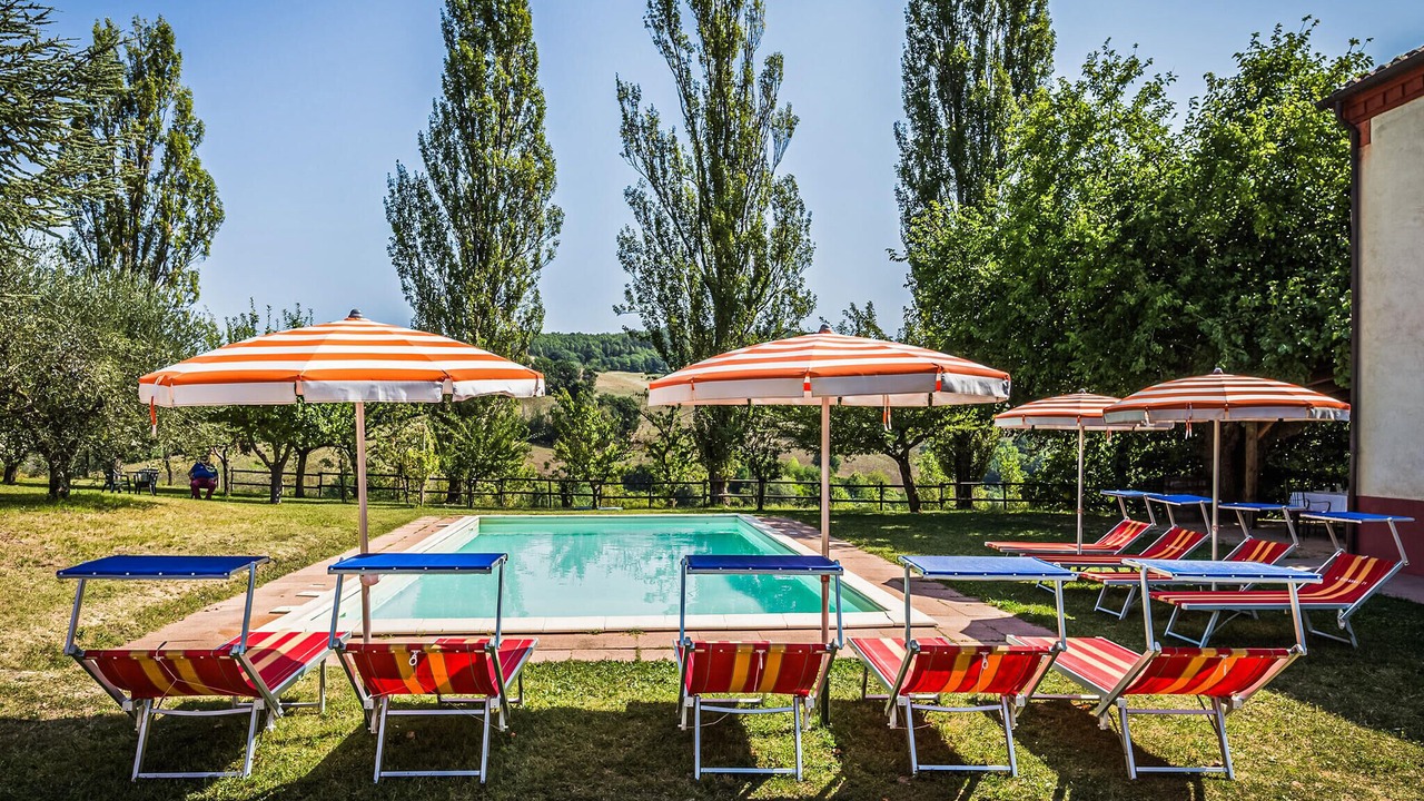 Photo of Outdoor in Pergola