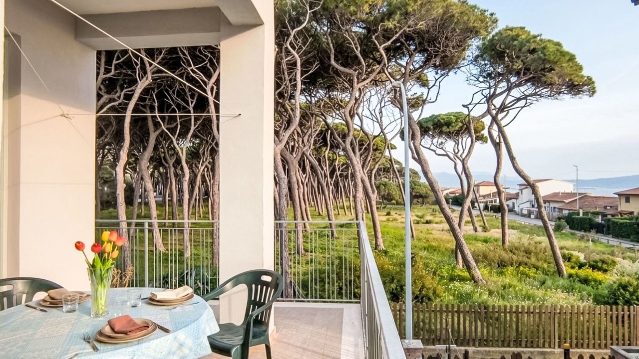 Photo of Others in Follonica