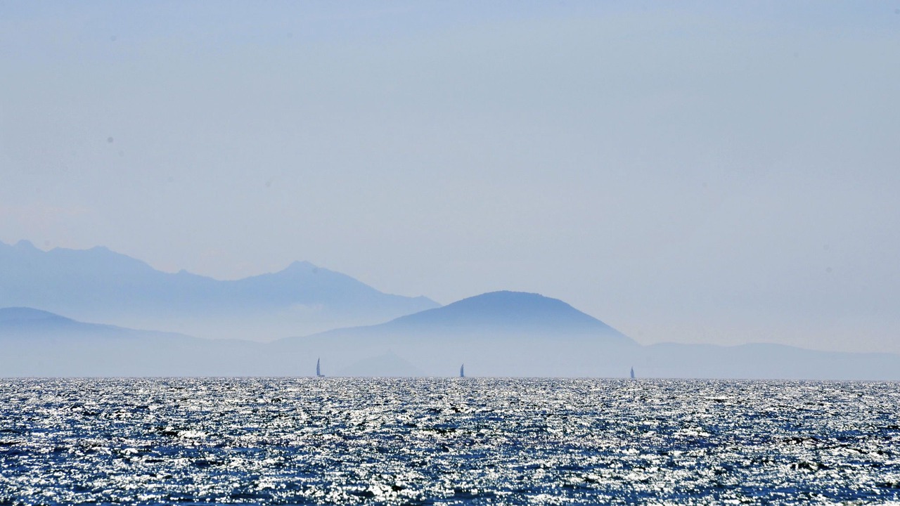 Photo of Others in Follonica