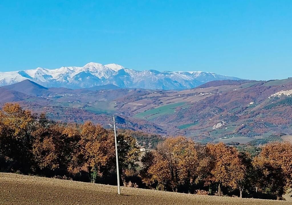 Photo of Outdoor in Mafalda