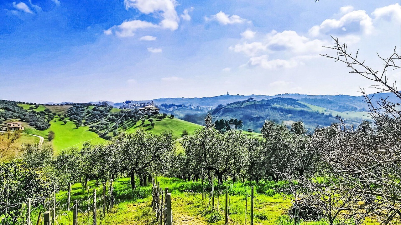 Photo of Others in Picciano
