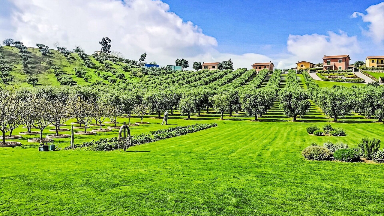 Photo of Outdoor in Picciano