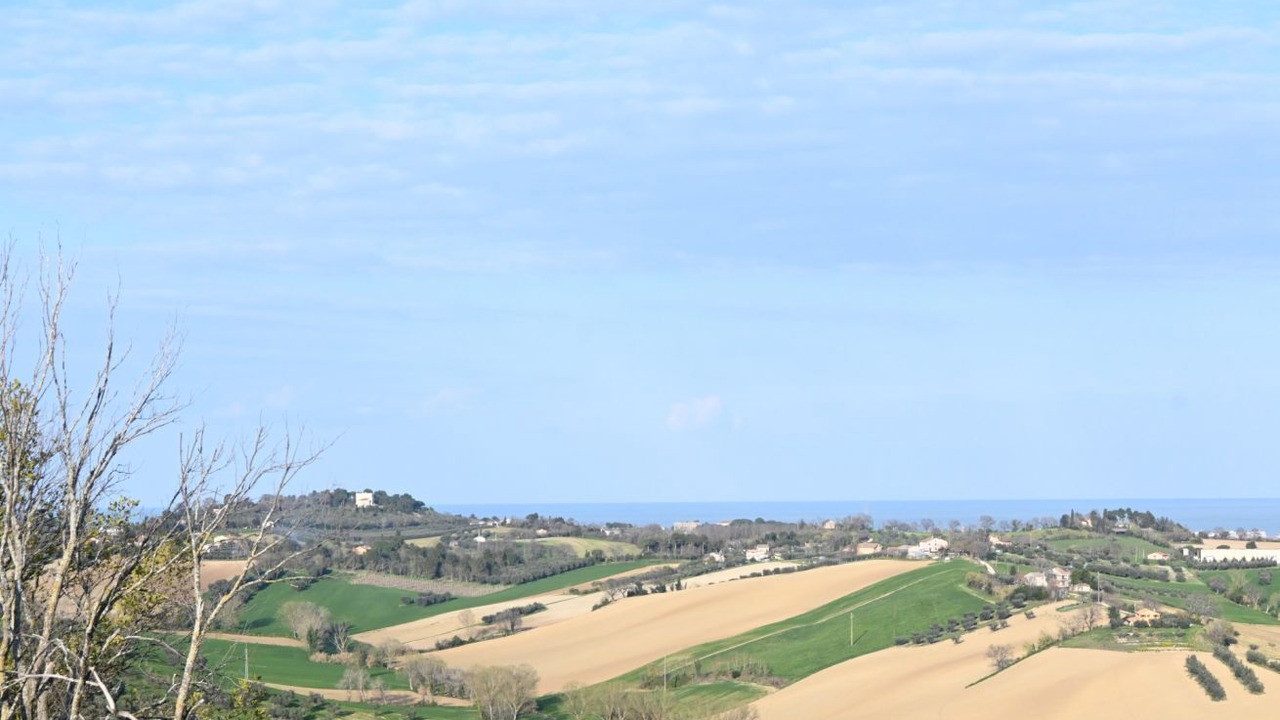 Photo of Others in Roncitelli