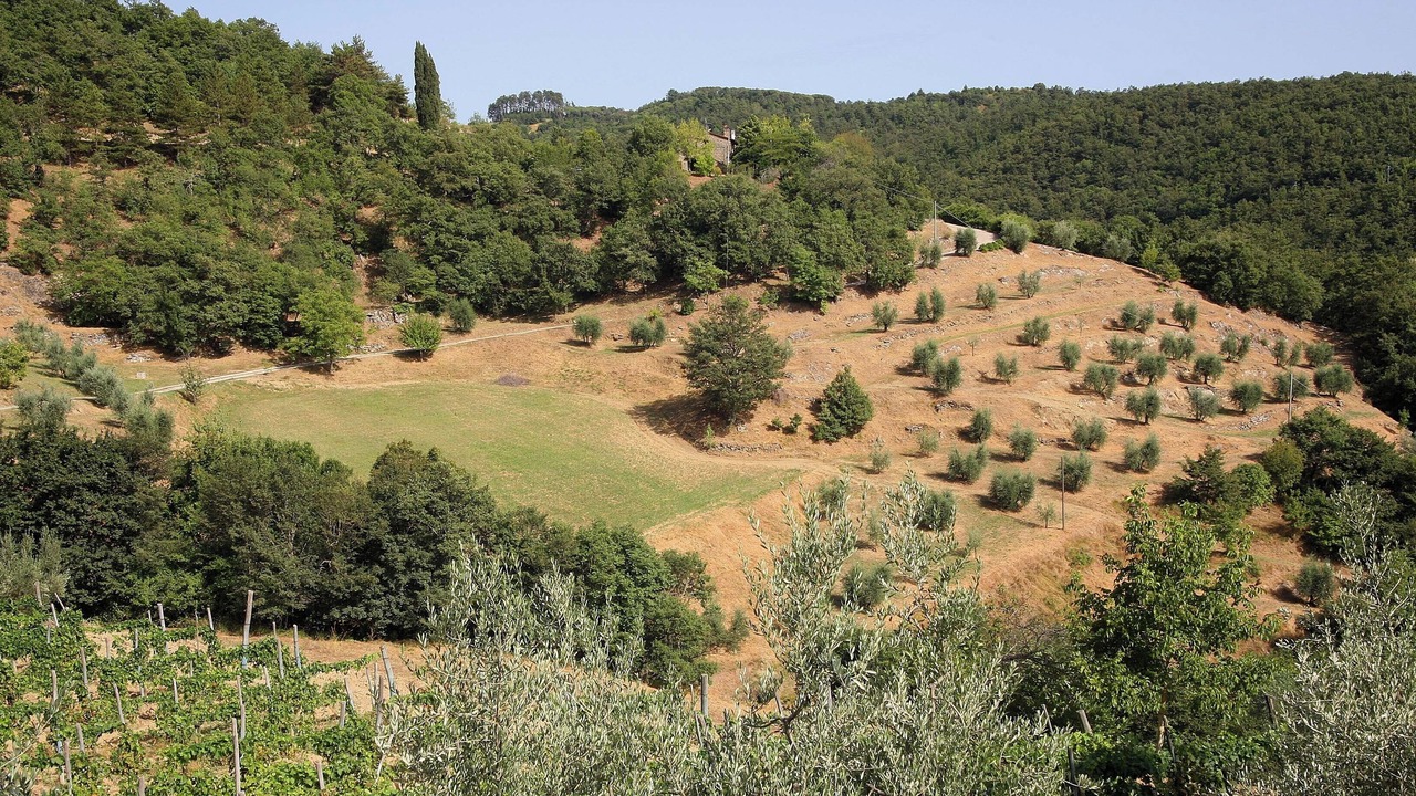 Photo of Others in Subbiano