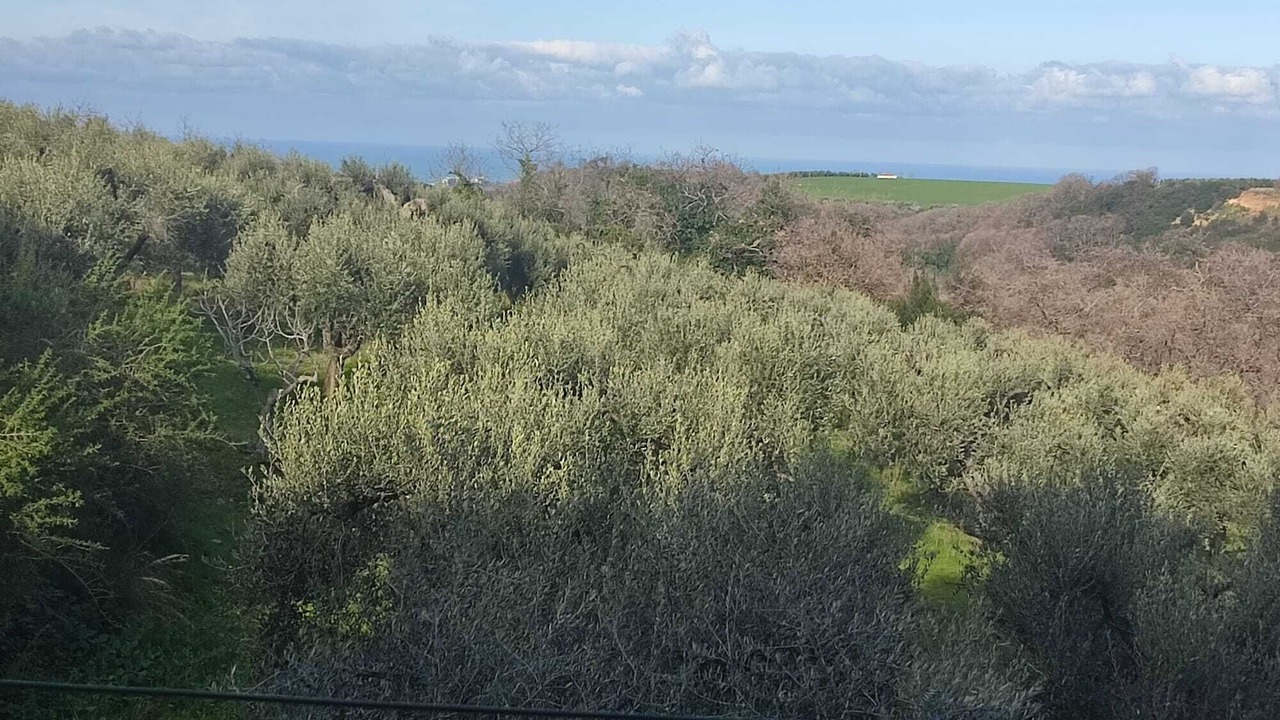 Photo of Others in San Giacomo degli Schiavoni