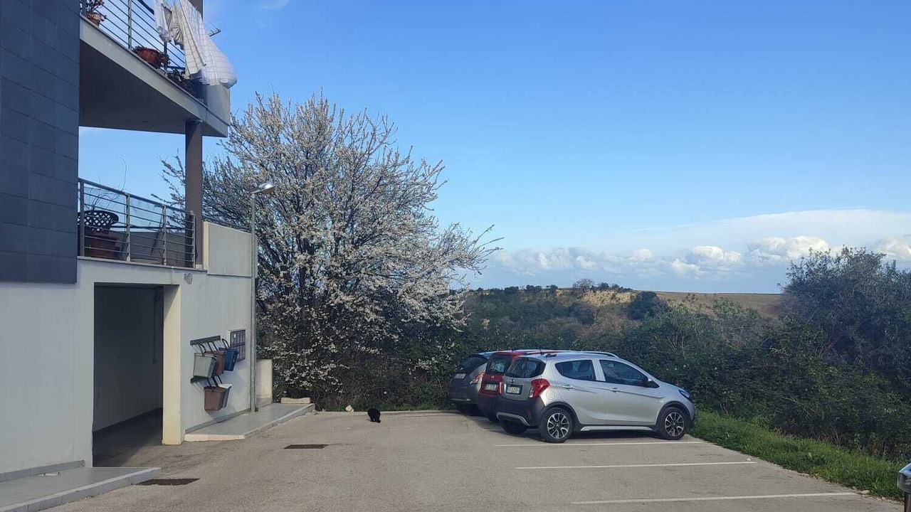 Photo of Outdoor in San Giacomo degli Schiavoni