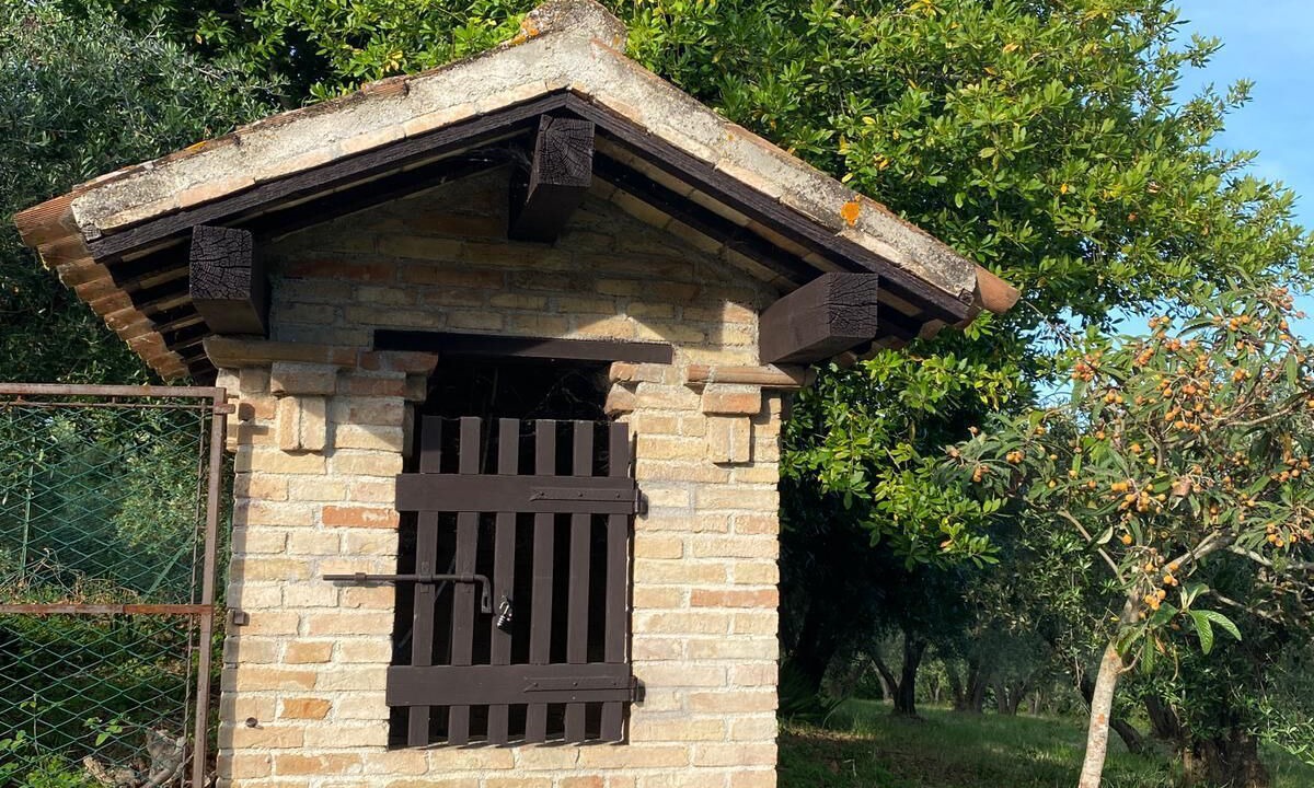 Photo of Outdoor in Ostra Vetere