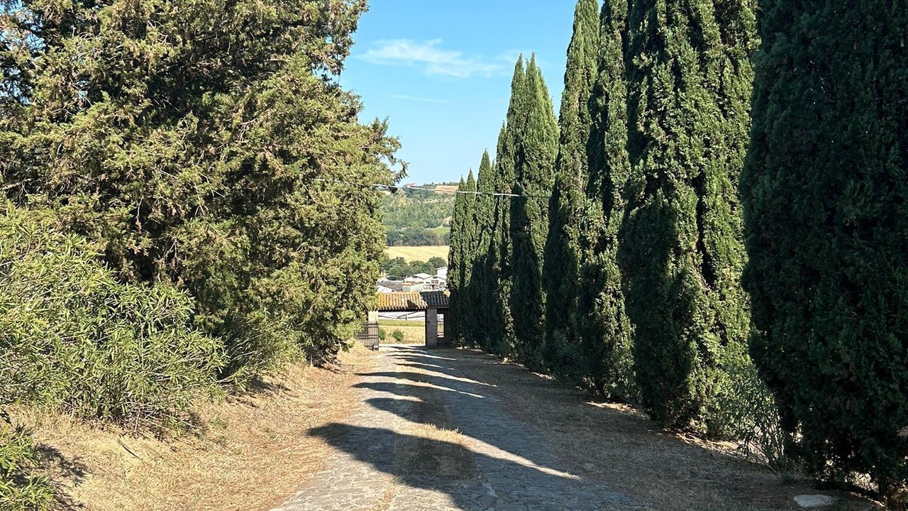 Photo of Outdoor in Ostra Vetere