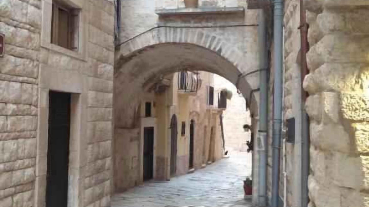 Photo of Others in Giovinazzo