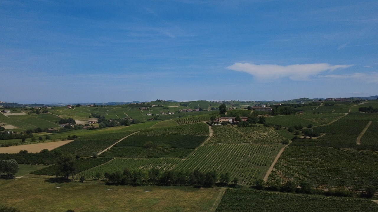 Photo of Others in Calosso