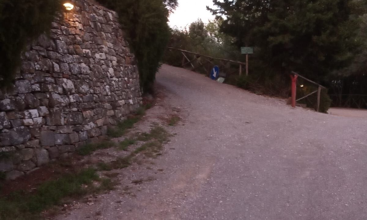 Photo of Others in Piegaro