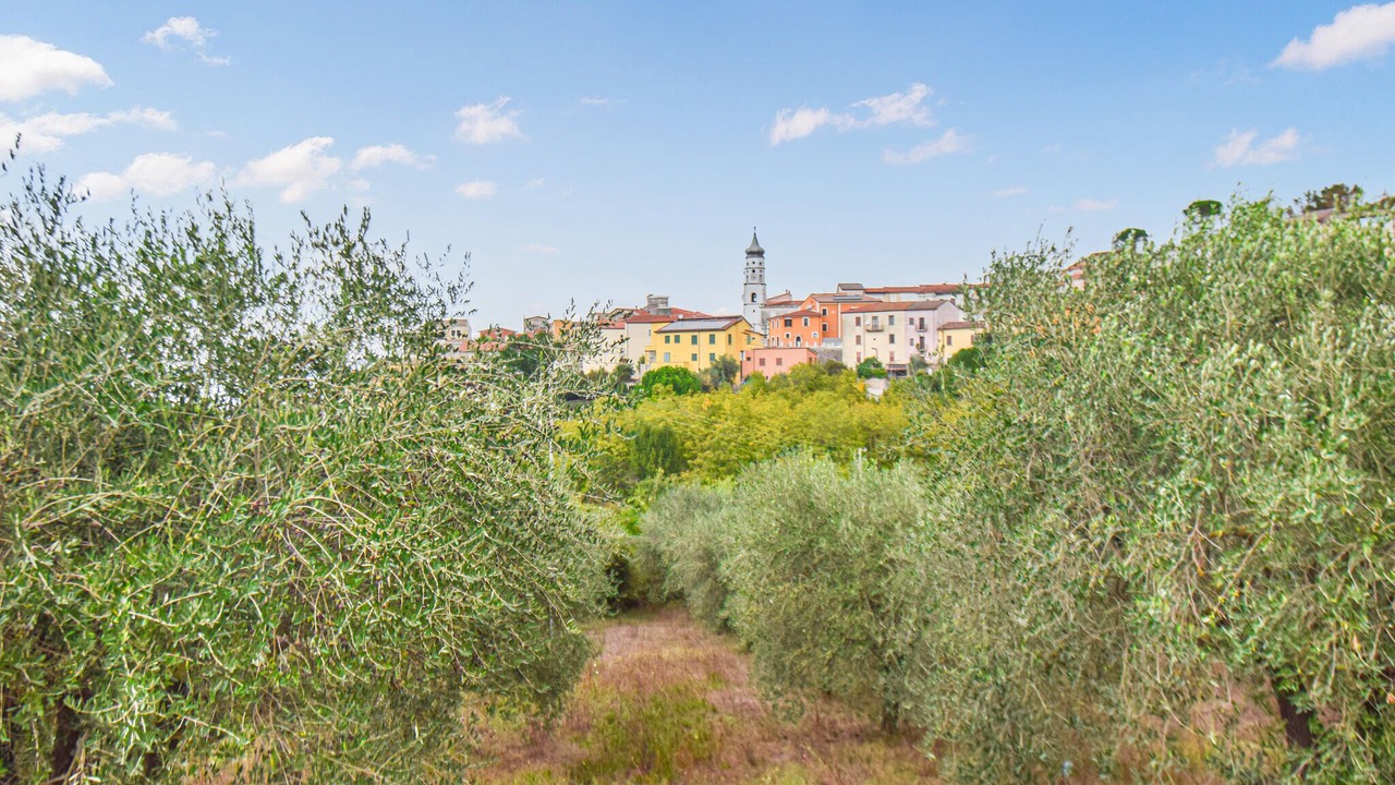 Photo of Others in Torre Le Nocelle