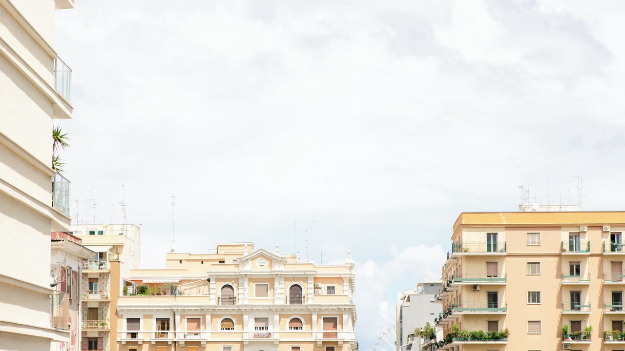Photo of Others in Municipio 2