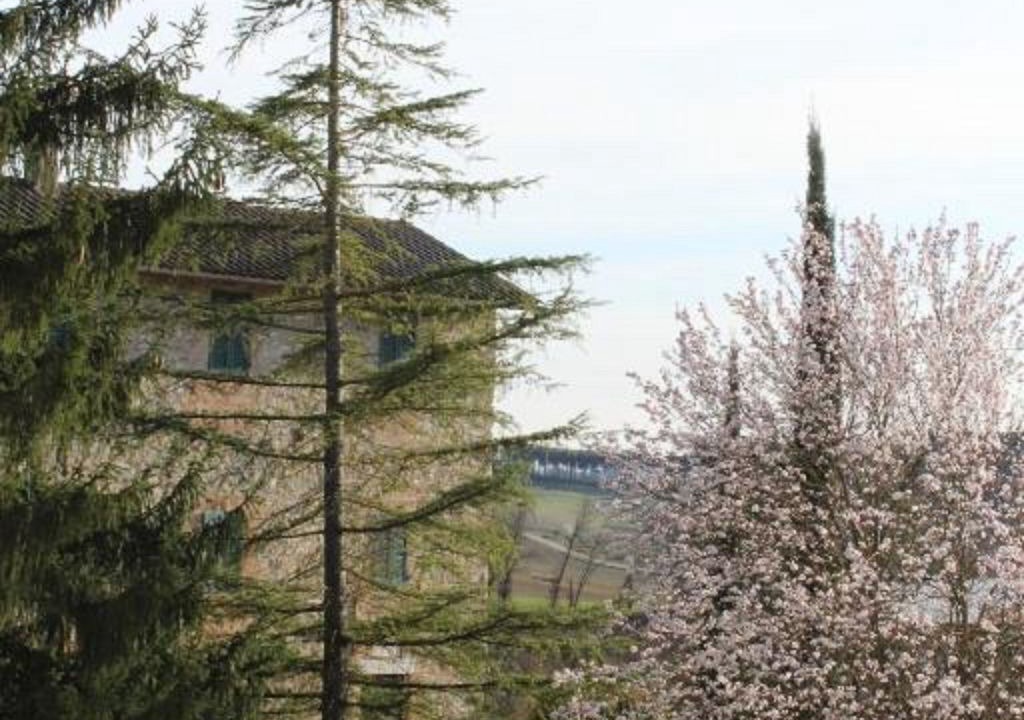 Photo of Others in Coltavolino