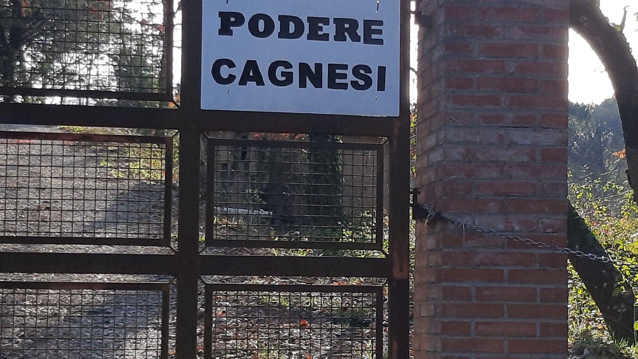 Photo of Outdoor in Monterotondo Marittimo