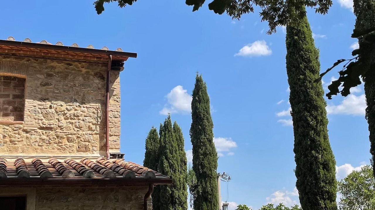 Photo of Outdoor in Monterotondo Marittimo