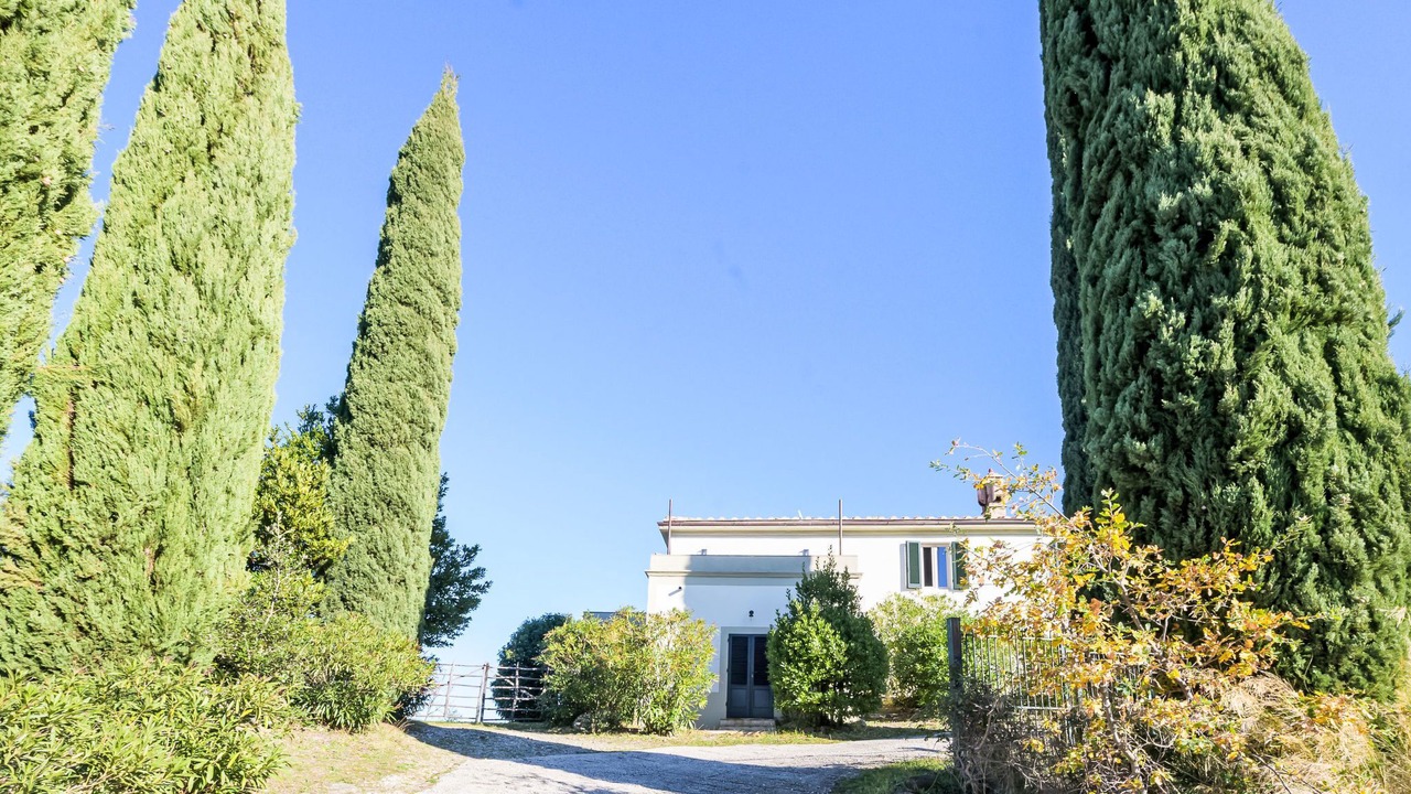 Photo of Others in Scansano