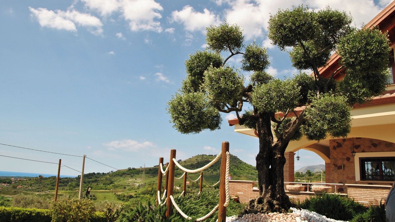 Photo of Outdoor in Spigno Saturnia