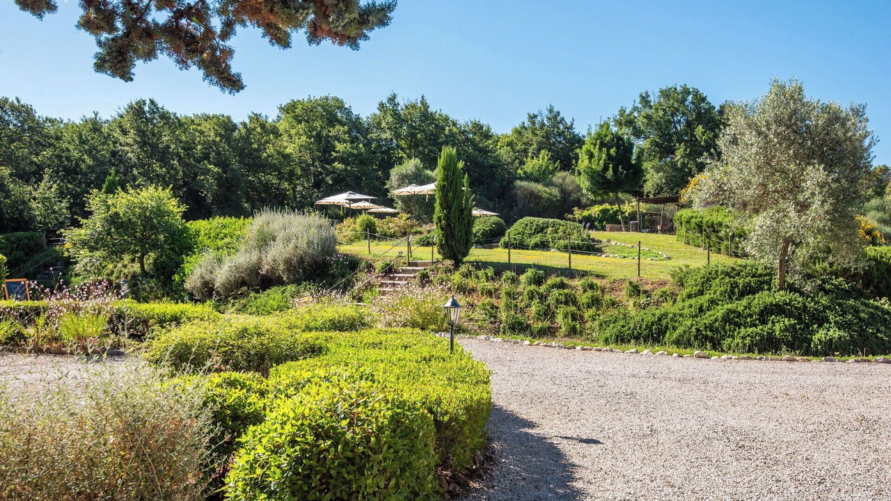 Photo of Outdoor in Trequanda
