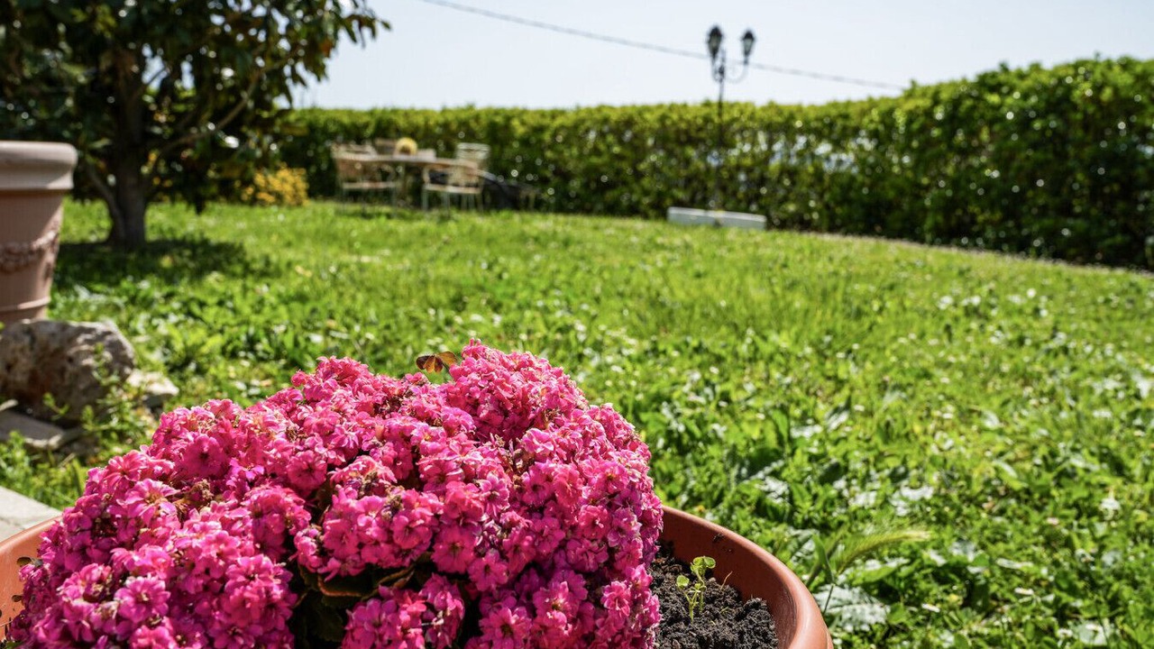 Photo of Outdoor in Chieti