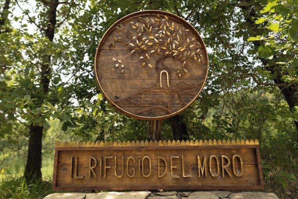 Photo of Outdoor in Subbiano