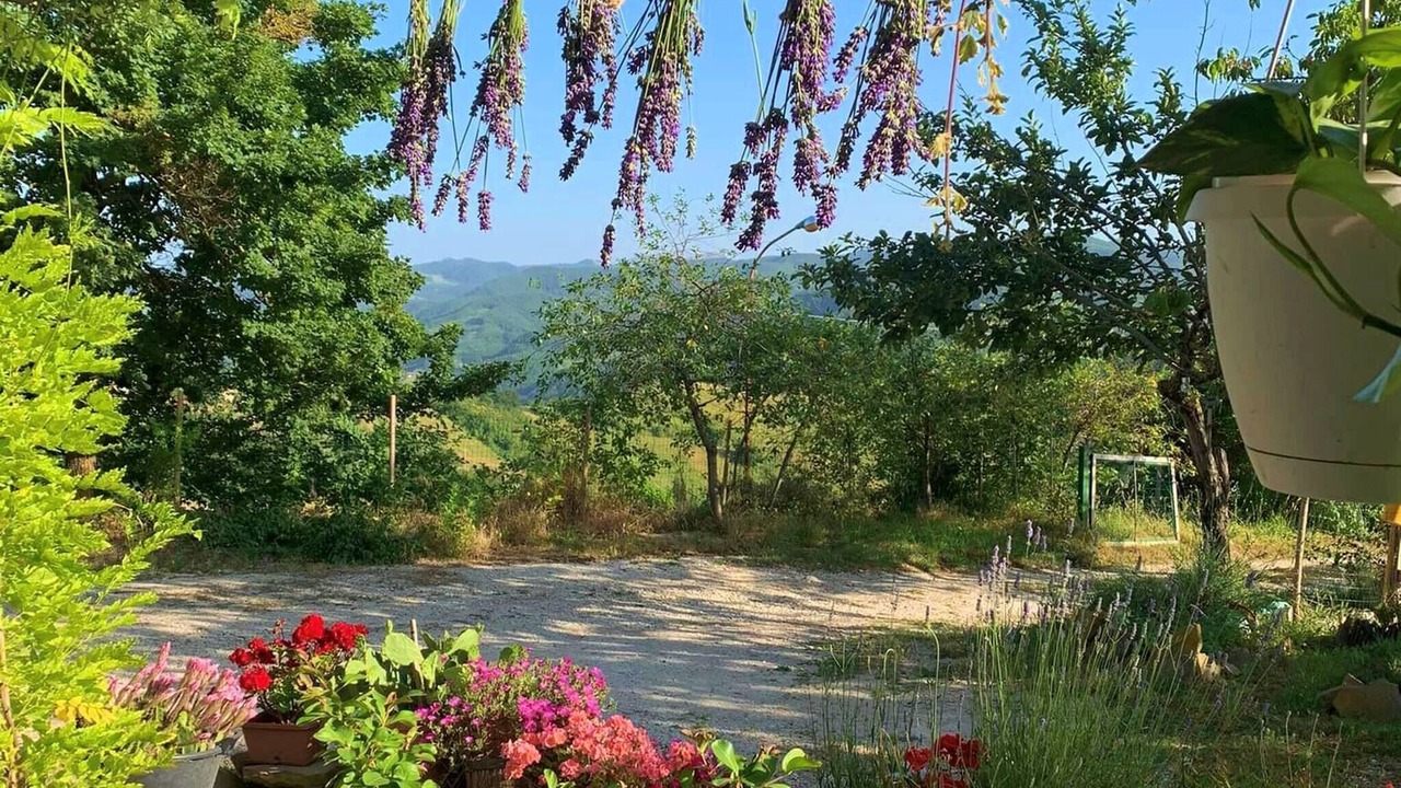 Photo of Outdoor in Nerbisci