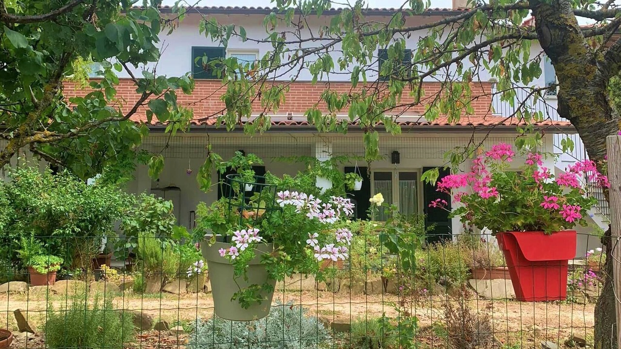 Photo of Outdoor in Nerbisci