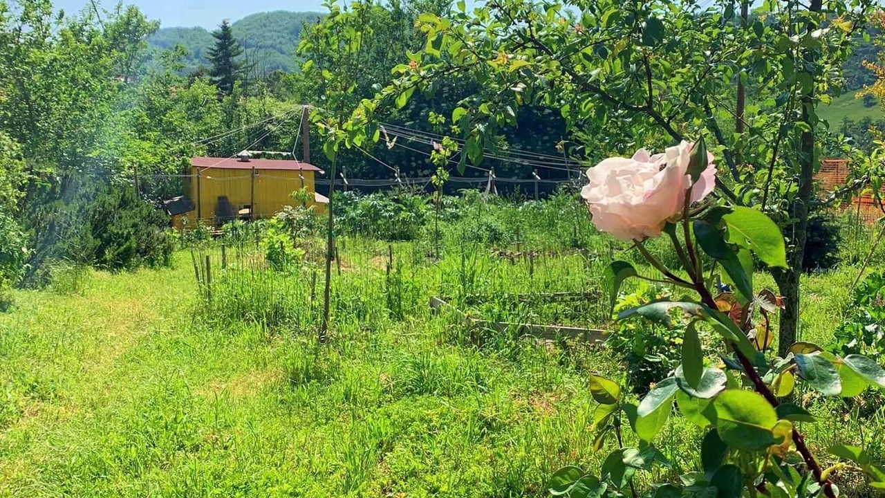 Photo of Outdoor in Nerbisci