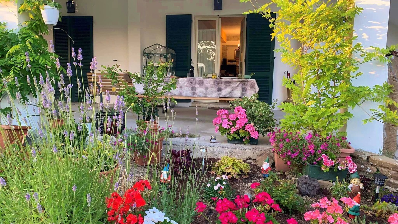 Photo of Patio Balcony in Nerbisci