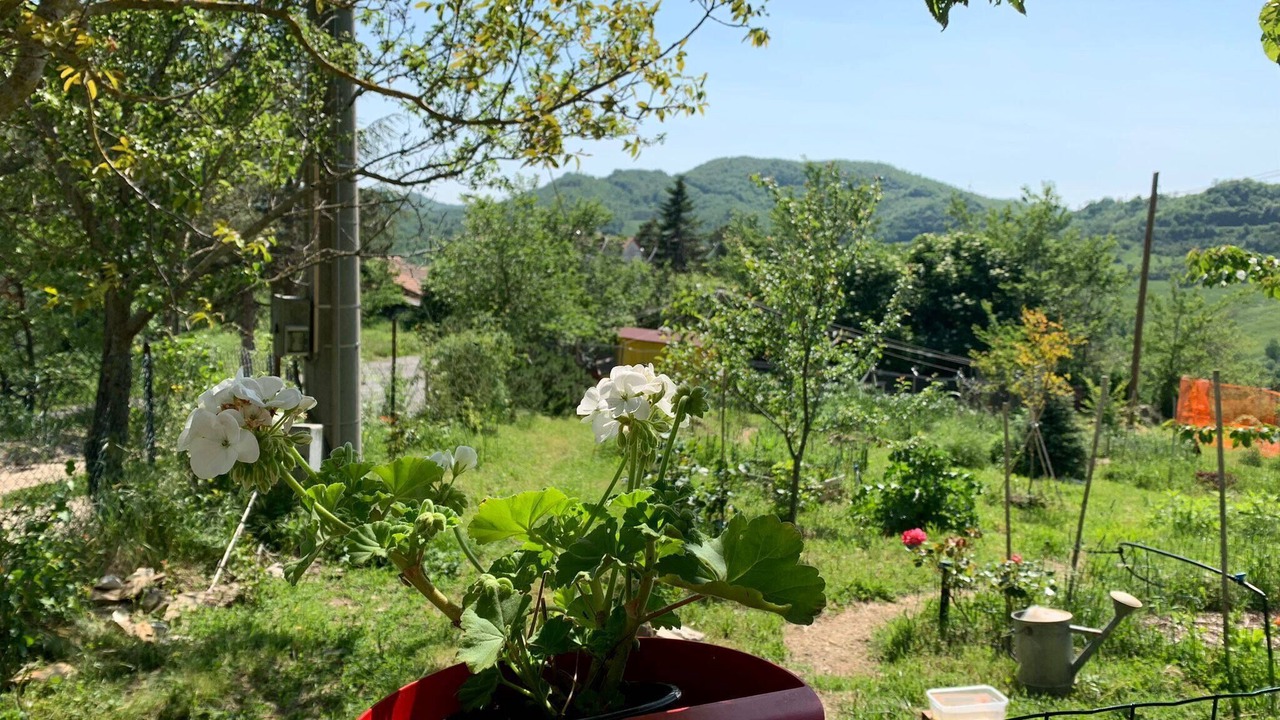 Photo of Outdoor in Nerbisci