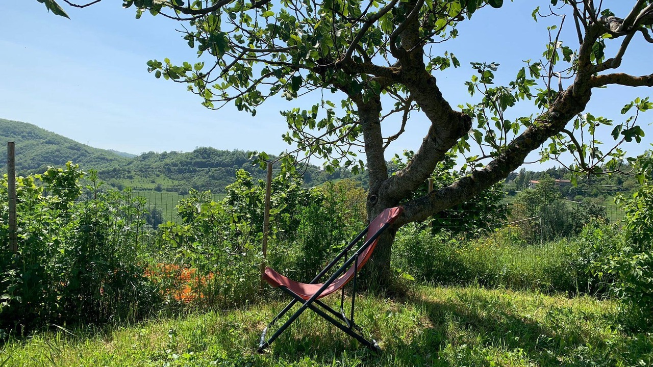 Photo of Outdoor in Nerbisci