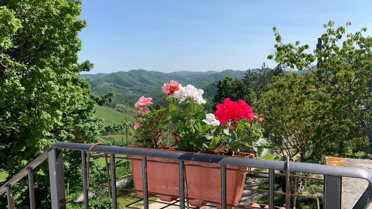 Photo of Outdoor in Nerbisci