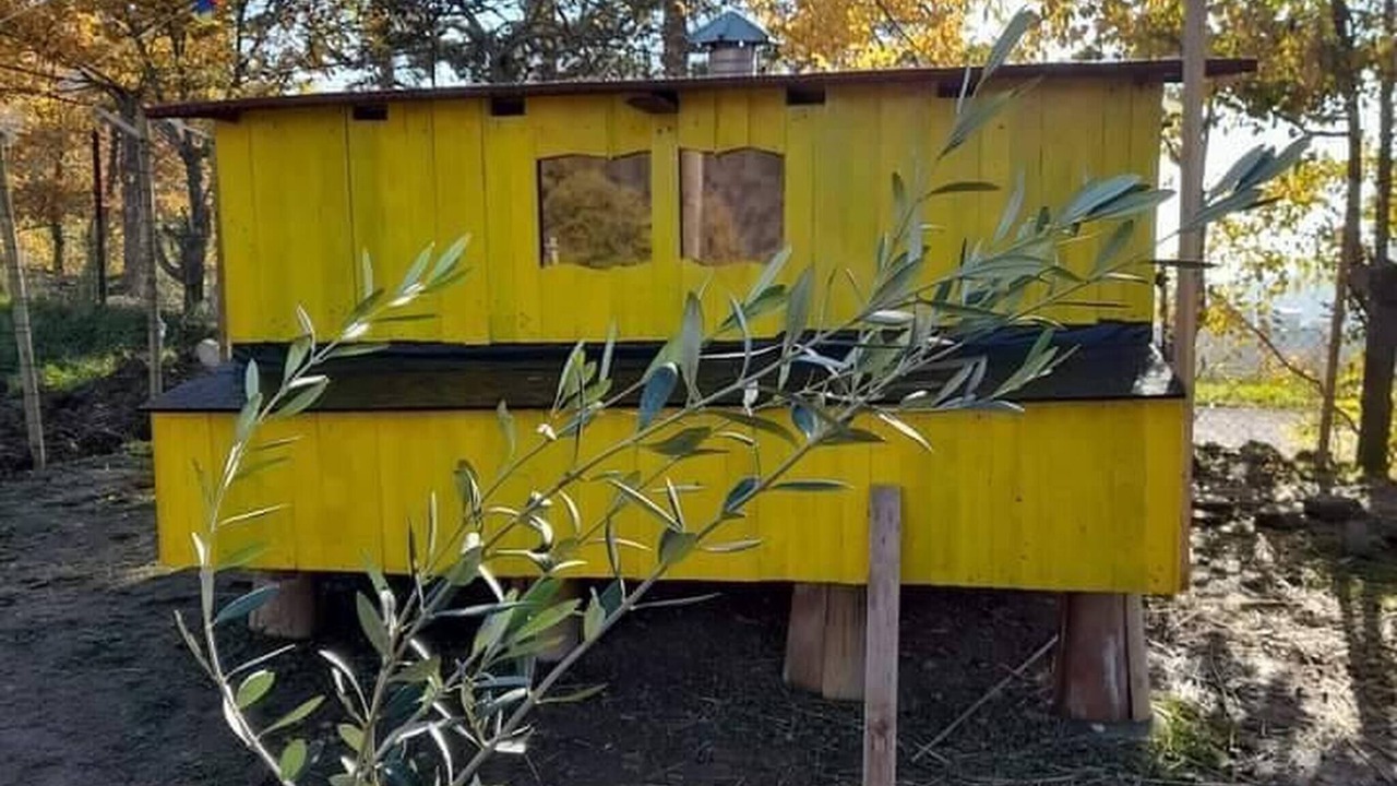 Photo of Outdoor in Nerbisci