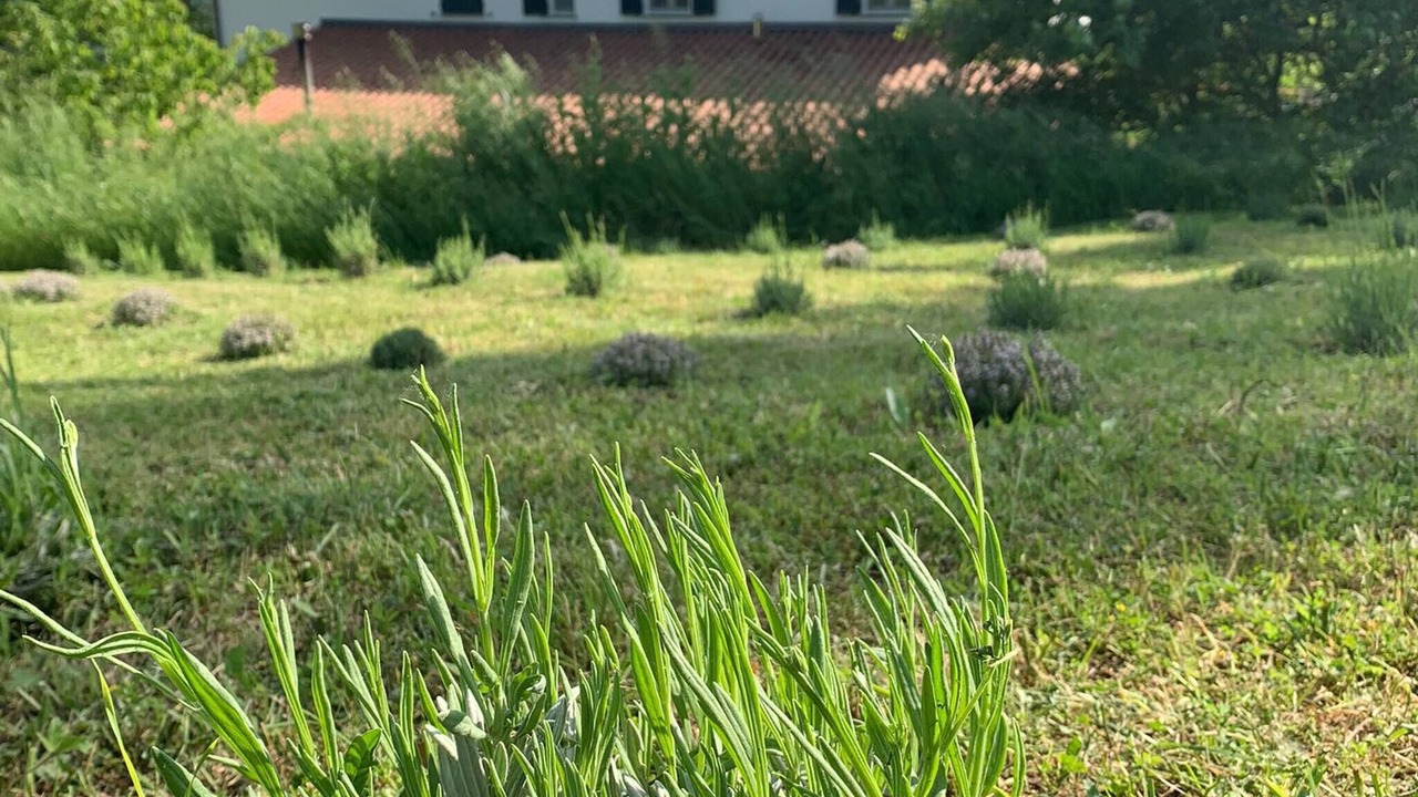 Photo of Outdoor in Nerbisci