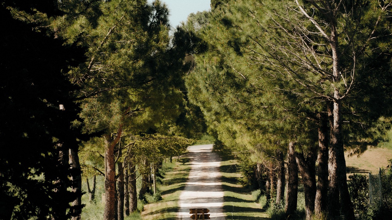 Photo of Others in Corridonia