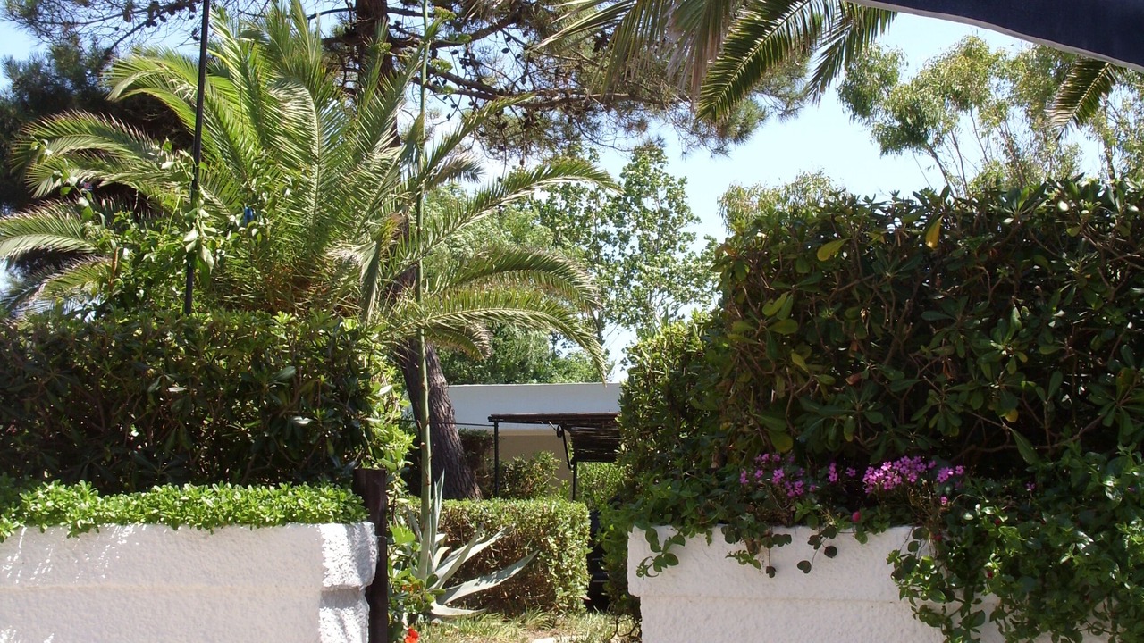 Photo of Outdoor in Latina Lido