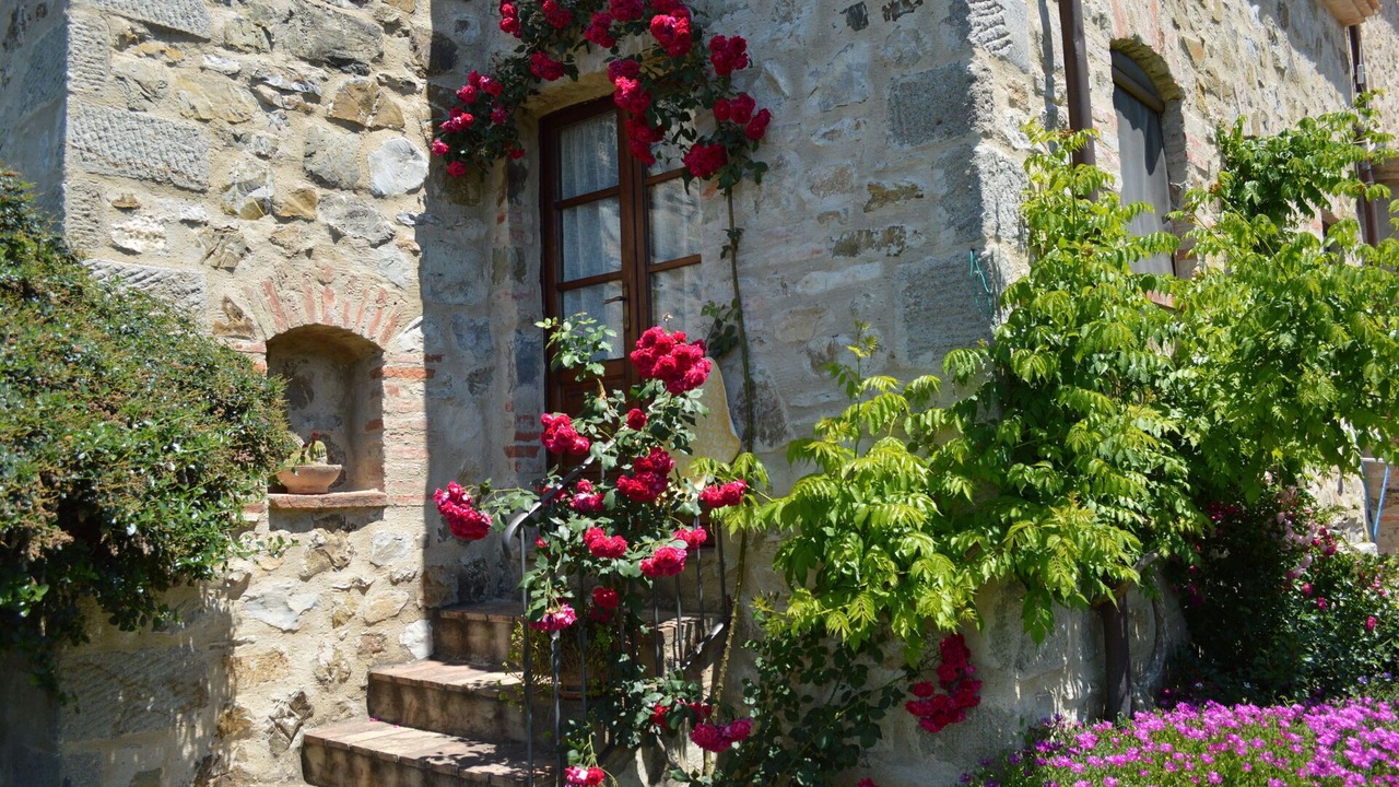 Photo of Outdoor in Seggiano